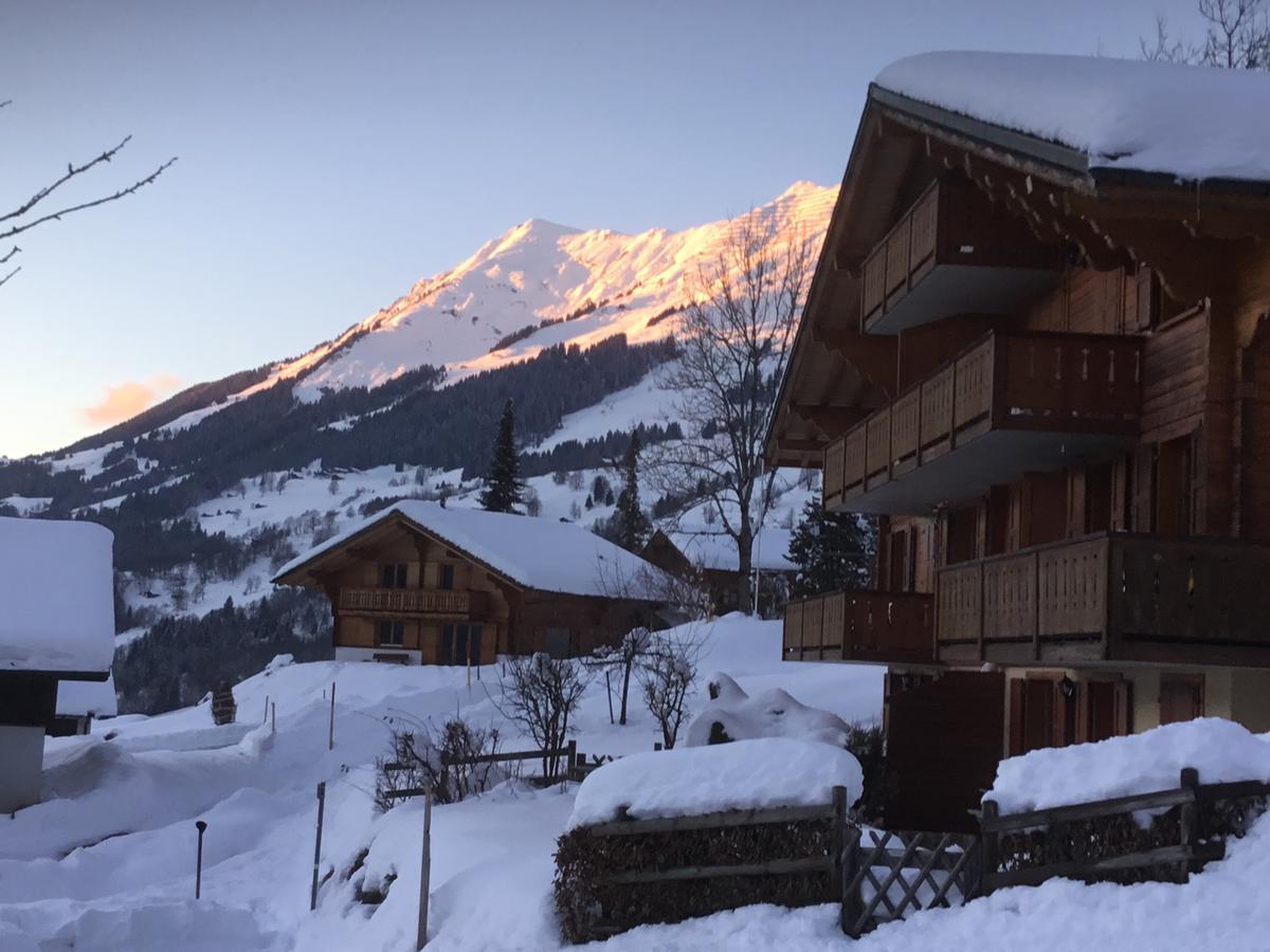 Le Sapin Apartamento Les Diablerets Exterior foto